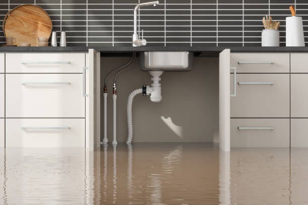 Best Flood damage cleanup  in Lexington, KY