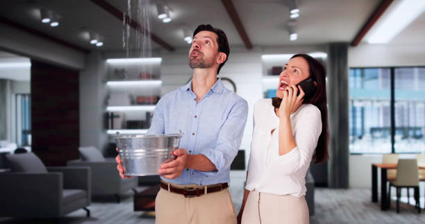 Best Flooded house restoration  in Lexington, KY